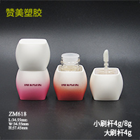 ZM618