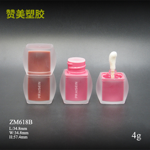 ZM618B