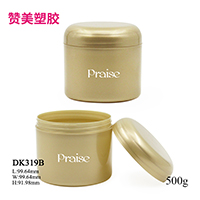 DK319B