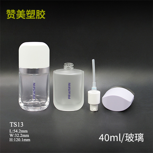 TS13