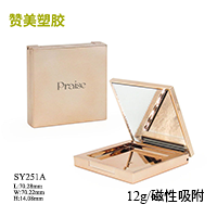 SY251A