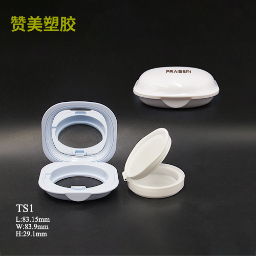 TS1