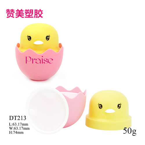 DT213